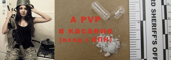 шишки Алексин