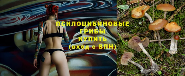 эйфоретик Алексеевка