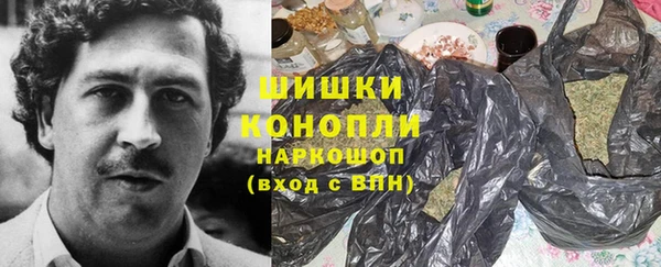 шишки Алексин