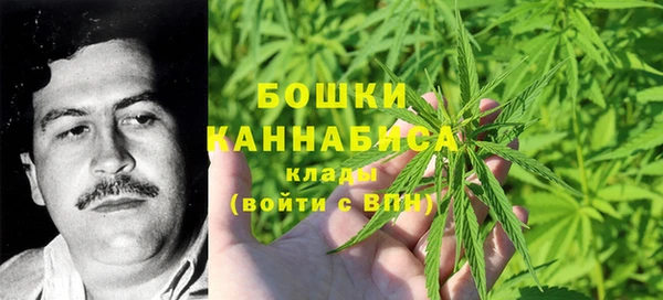 шишки Алексин