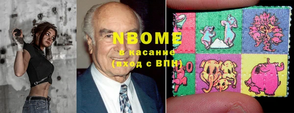шишки Алексин