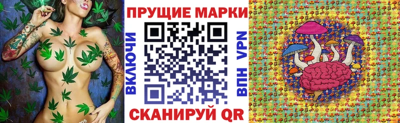 OMG рабочий сайт  продажа наркотиков  Отрадная  Марки N-bome 1,5мг 