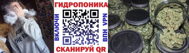 Бошки марихуана Bruce Banner  магазин продажи наркотиков  Отрадная 